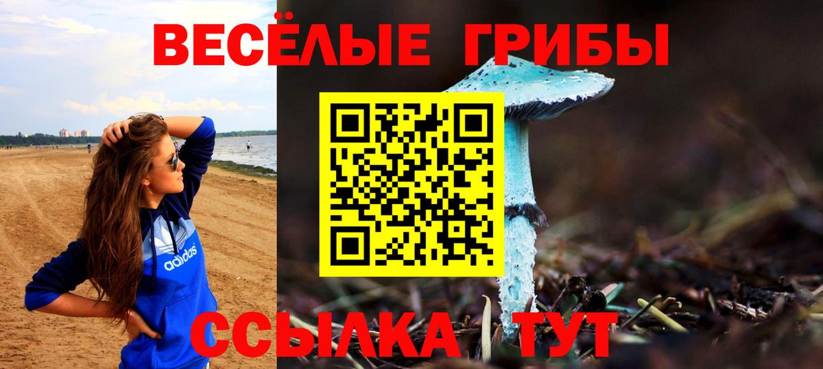 Псилоцибиновые грибы MAGIC MUSHROOMS Киреевск