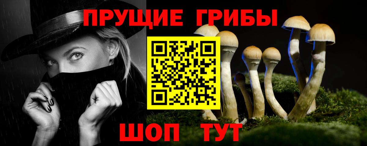 Псилоцибиновые грибы GOLDEN TEACHER  Вход с VPN  где купить наркотик  Киреевск  Псилоцибиновые грибы мицелий 