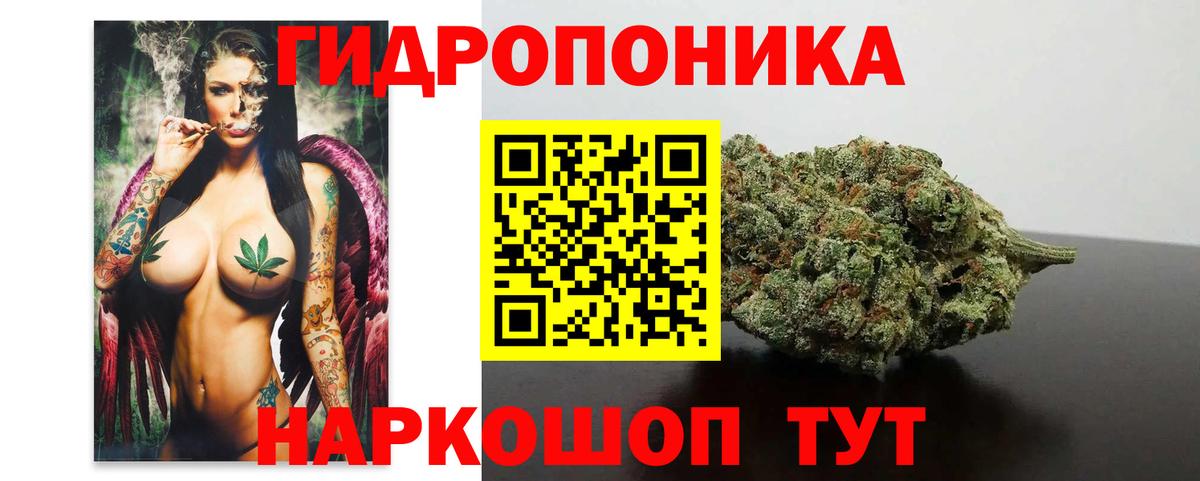 Шишки марихуана OG Kush Киреевск